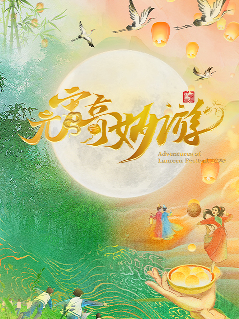 2025河南卫视元宵奇妙游封面图