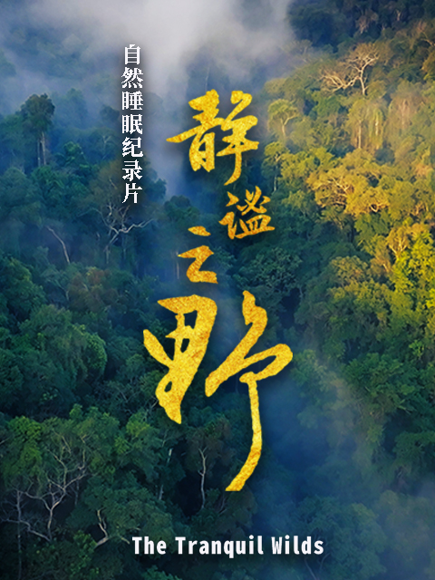 静谧之野封面图