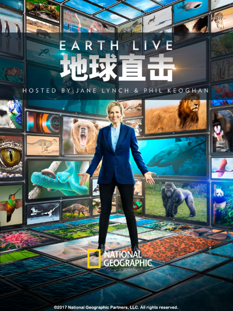 地球直击封面图