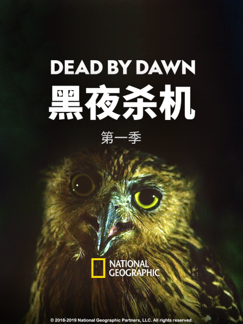 黑夜杀机 第一季封面图