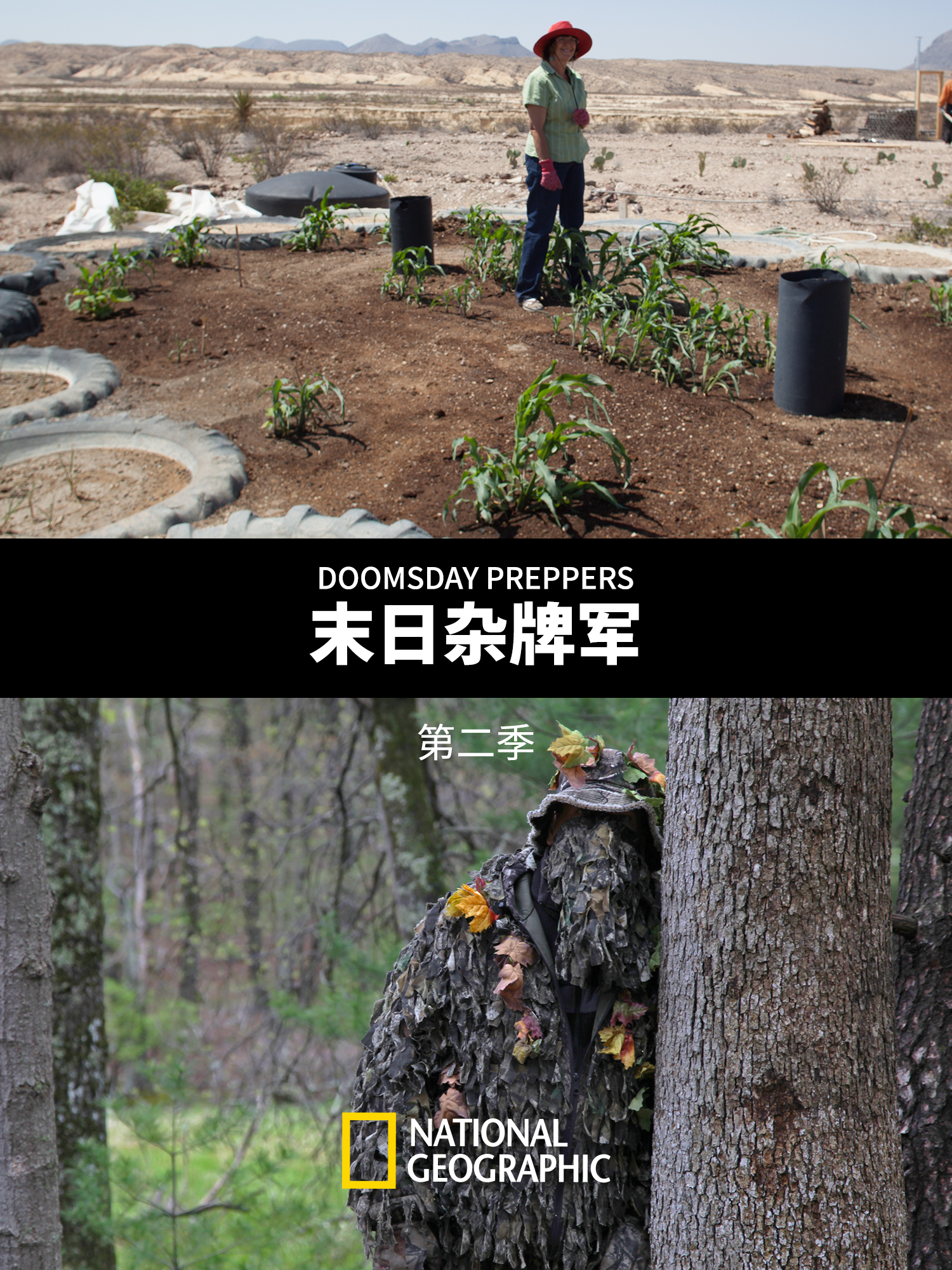 末日杂牌军 第二季封面图