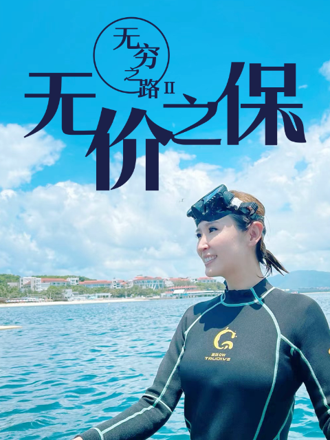 无穷之路2 无价之保（粤语版）封面图