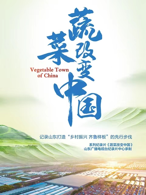 蔬菜改变中国封面图