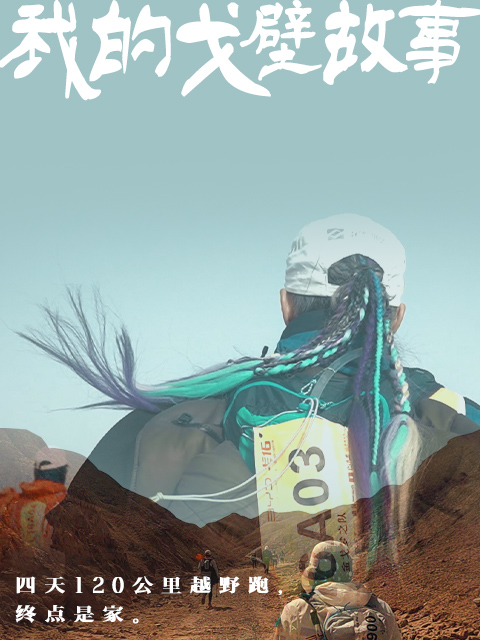 我的戈壁故事封面图