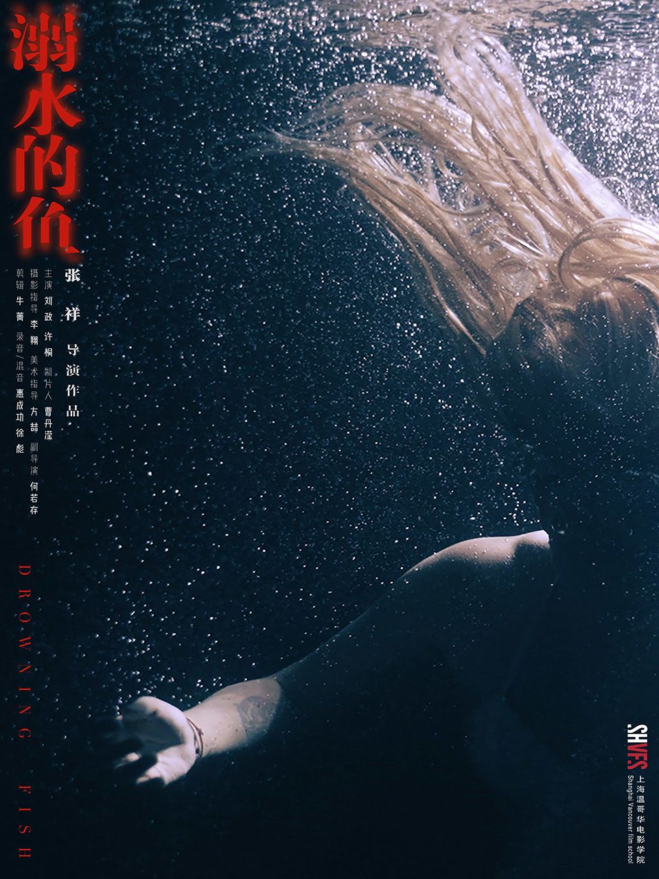 溺水的鱼封面图