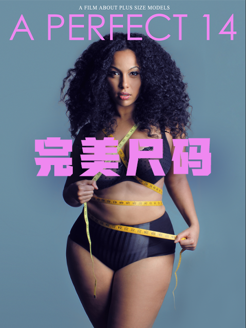 完美尺码封面图