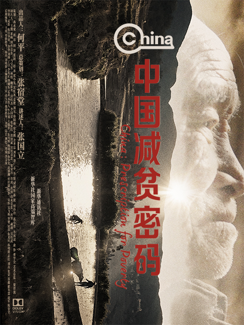 中国减贫密码封面图