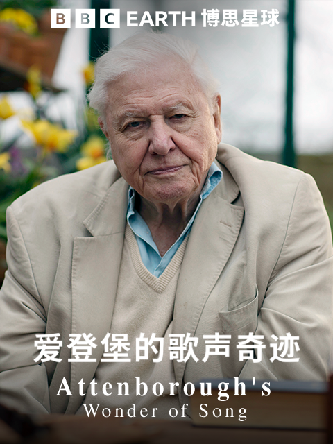 爱登堡的歌声奇迹封面图