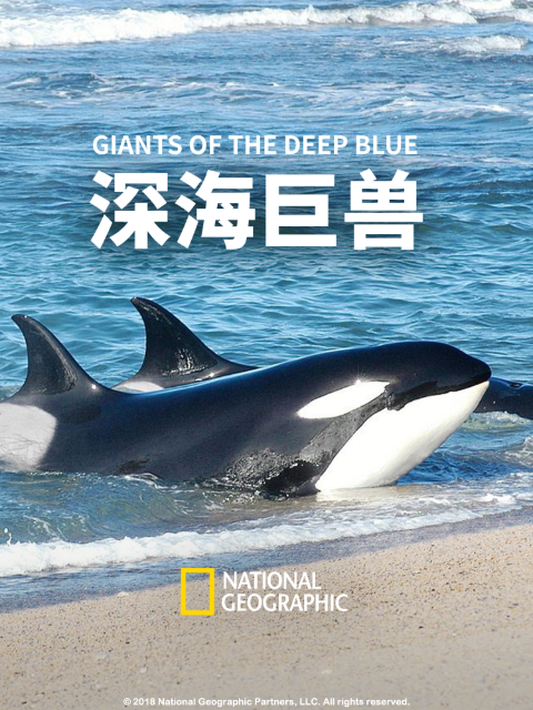 深海巨兽封面图