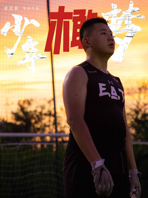 少年橄梦封面图