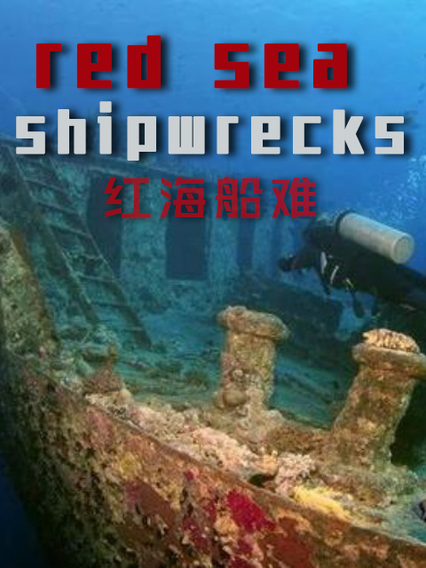 红海船难封面图