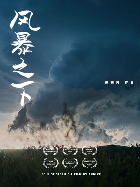 风暴之下封面图