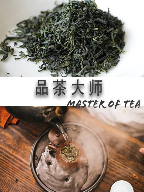 品茶大师封面图