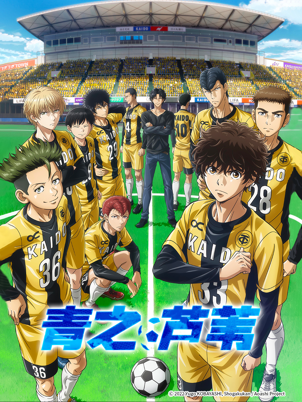 青之芦苇封面图