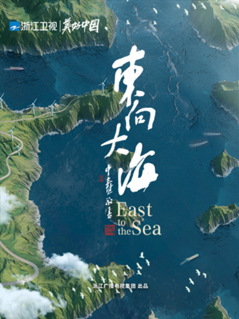 东向大海封面图