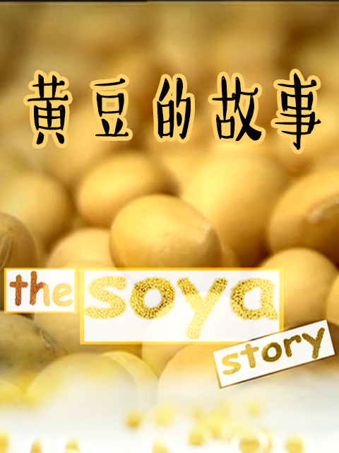 黄豆的故事封面图