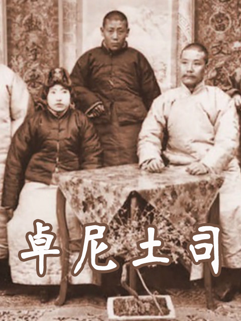 卓尼土司封面图