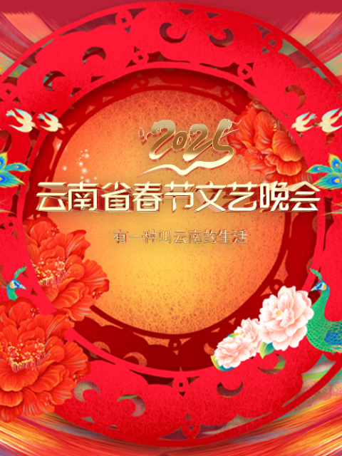 2025云南省春节文艺晚会封面图