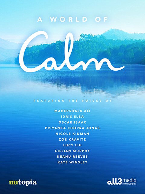 宁静的世界封面图