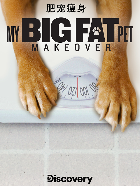 肥宠瘦身封面图