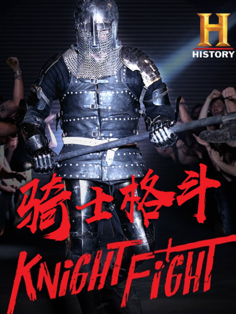 骑士格斗封面图
