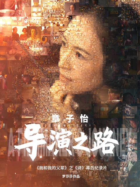 导演之路封面图