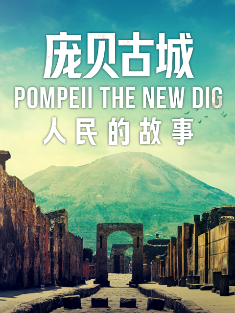 庞贝古城：人民的故事封面图