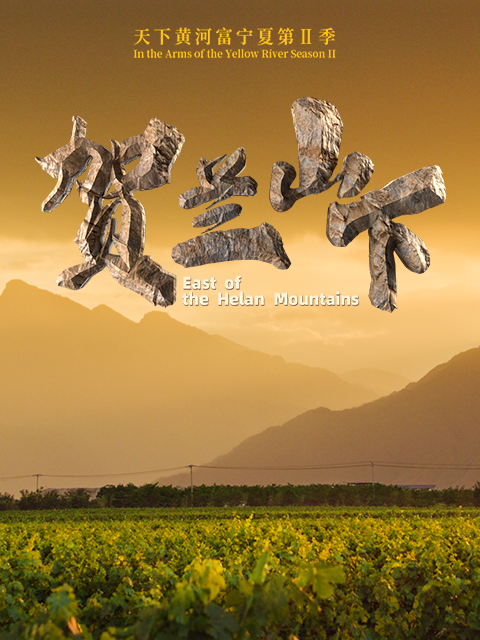 天下黄河富宁夏 第二季封面图