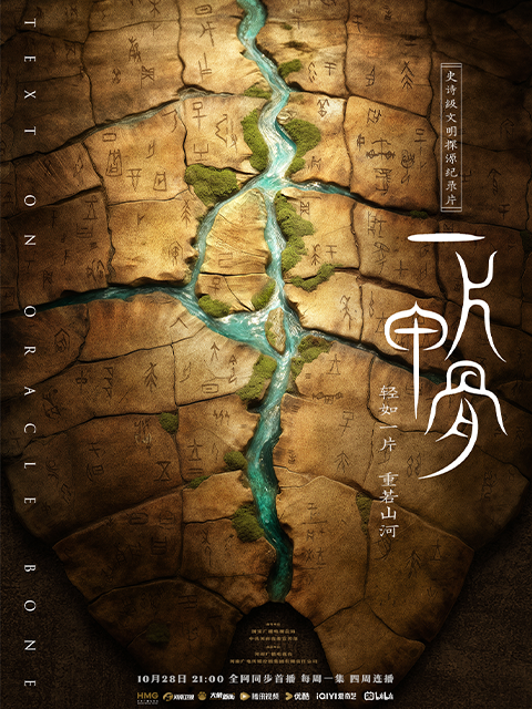 一片甲骨封面图