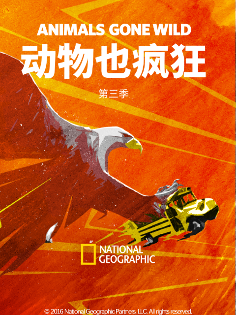 动物也疯狂 第三季封面图