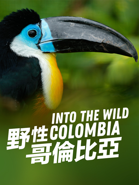 走进荒野：哥伦比亚封面图