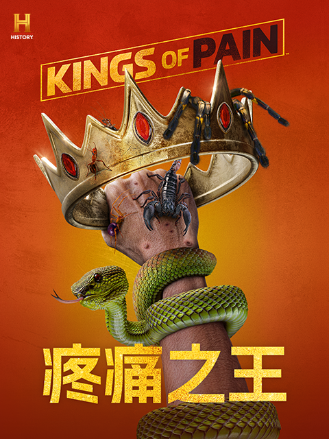 疼痛之王2封面图