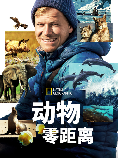 动物零距离封面图