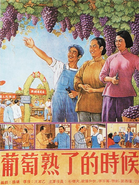 葡萄熟了的时候封面图