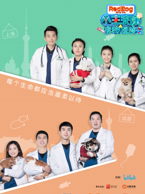 小主安康－宠物医院2封面图