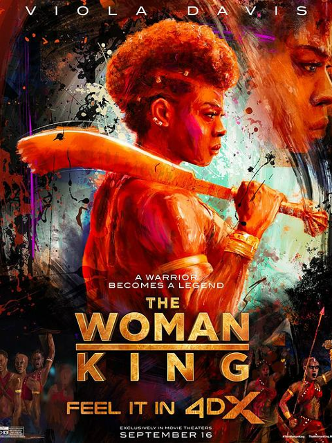 达荷美女战士封面图