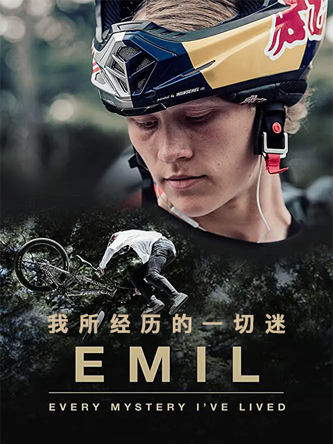 我所经历的一切谜封面图