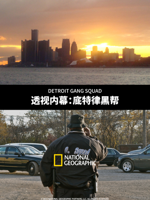 透视内幕：底特律黑帮封面图