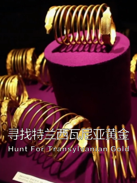 寻找特兰西瓦尼亚黄金封面图