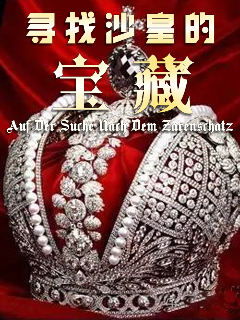 寻找沙皇的宝藏封面图