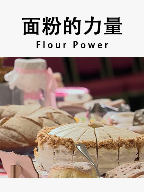 面粉的力量封面图