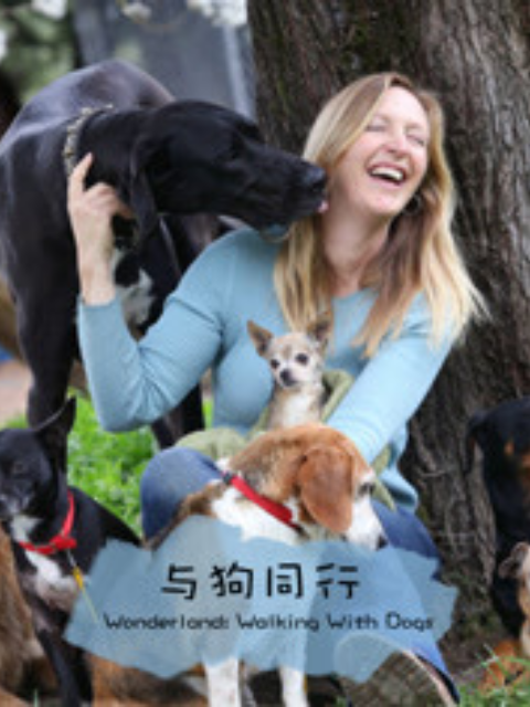 与狗同行封面图