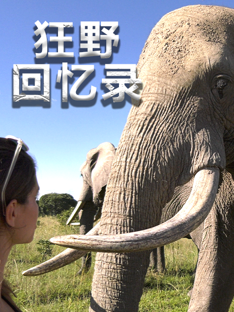 狂野回忆录封面图