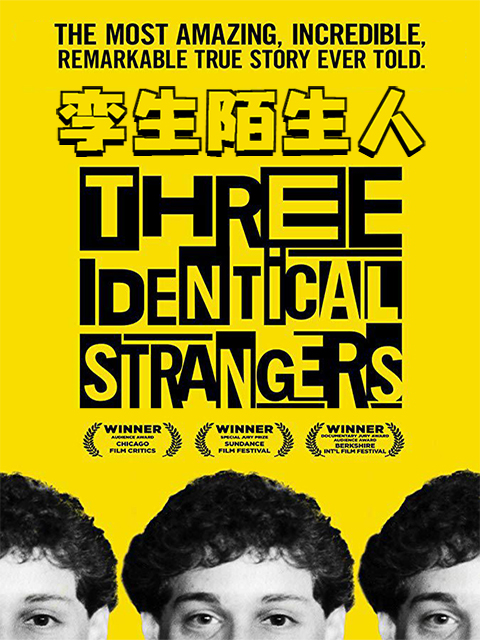 孪生陌生人封面图