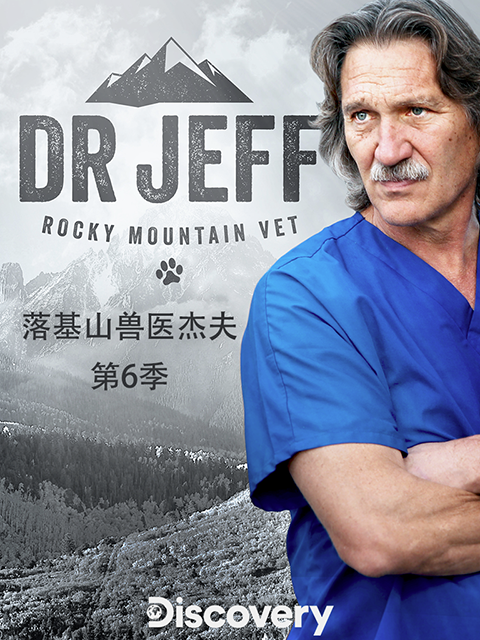 热血兽医师 第六季封面图