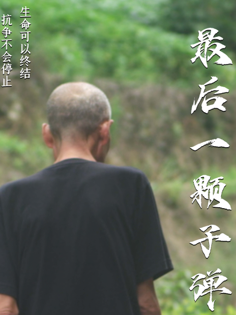 最后一颗子弹封面图