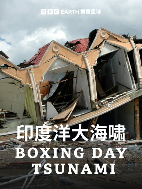 印度洋大海啸封面图