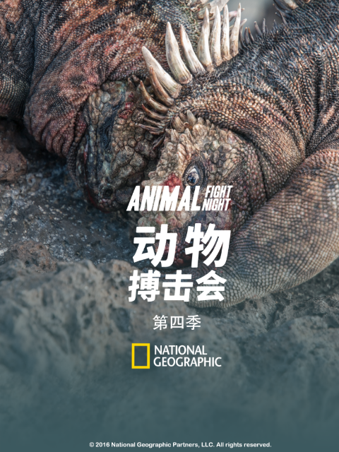 动物搏击会 第四季封面图