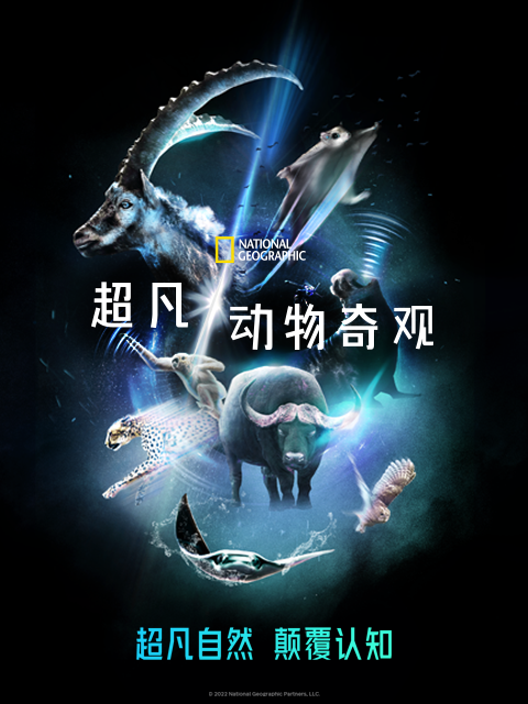 超凡动物奇观（中配版）封面图