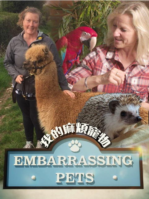 我的麻烦宠物封面图